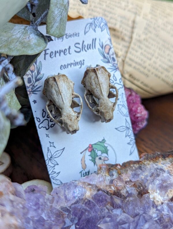 Aged Ferret Skull Earrings | 3D Resin Printed & Hand-Painted | Boho Hippie Goth Witch Jewelry | Vegan Animal Bone Skull Oddity Goblincore - Image 5