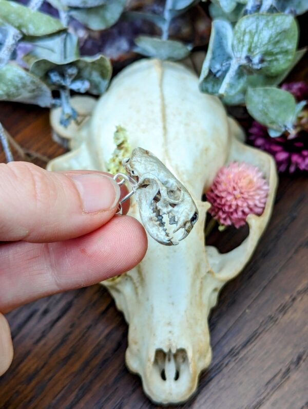 Aged Ferret Skull Earrings | 3D Resin Printed & Hand-Painted | Boho Hippie Goth Witch Jewelry | Vegan Animal Bone Skull Oddity Goblincore - Image 6