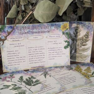 Physical Herb Medica Cards | Breakdown Individual Constituent Properties | Watercolor Herbal Reference Set Apothecary Tea Recipe Info Guide